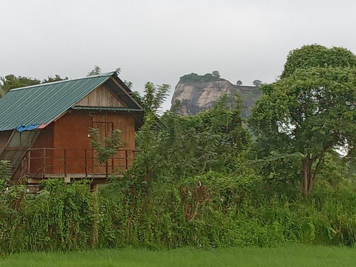 Sigiriya Paddy Field Hut Vila Exterior foto